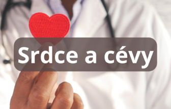 Srdce a cévy